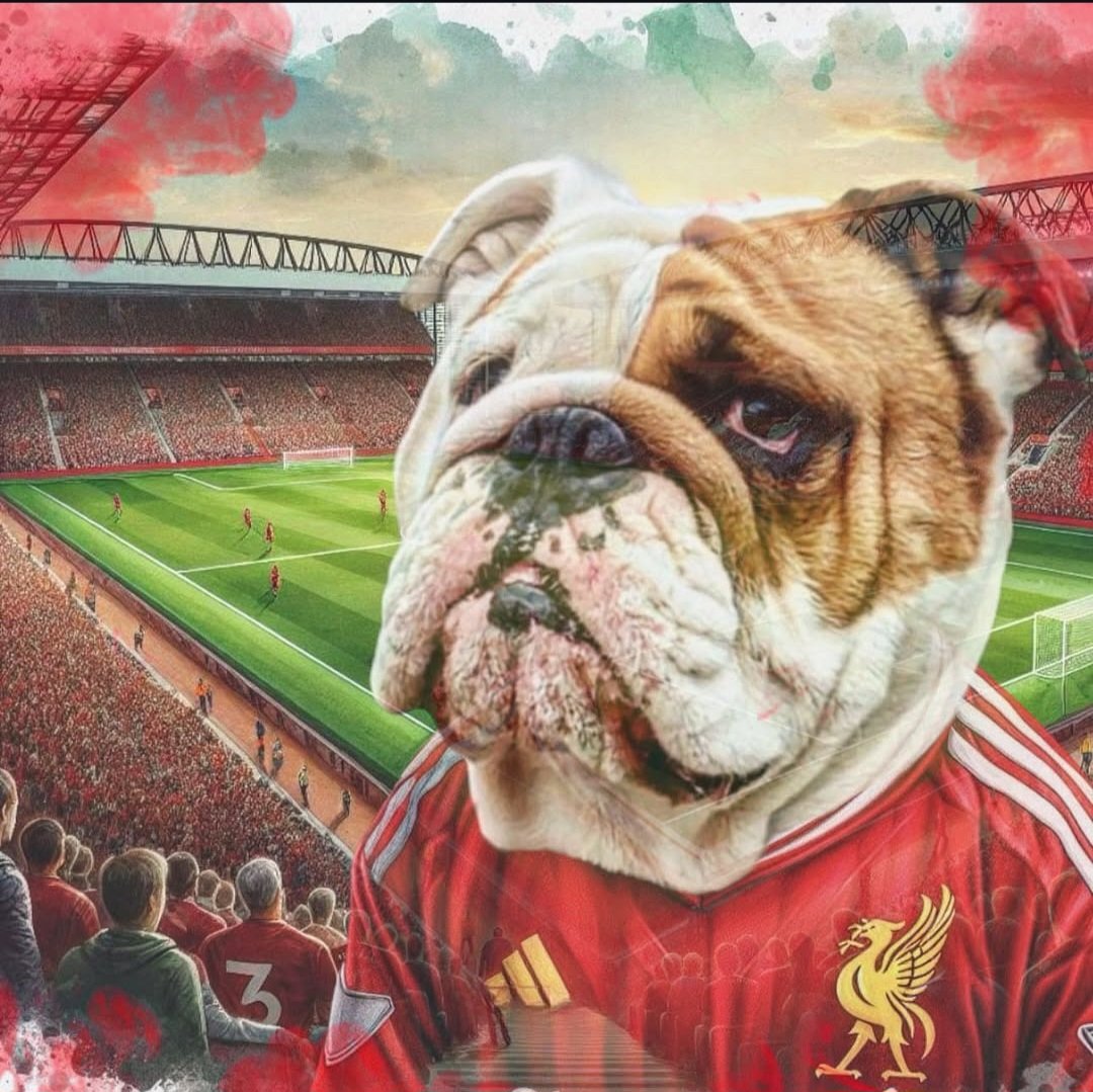 Who's the cutest? 🐕
#YNWA 🔴 #LFCFamily