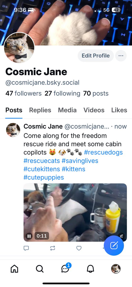 JANE 🐾🦋❤️💫 🪐🌎 tweet media