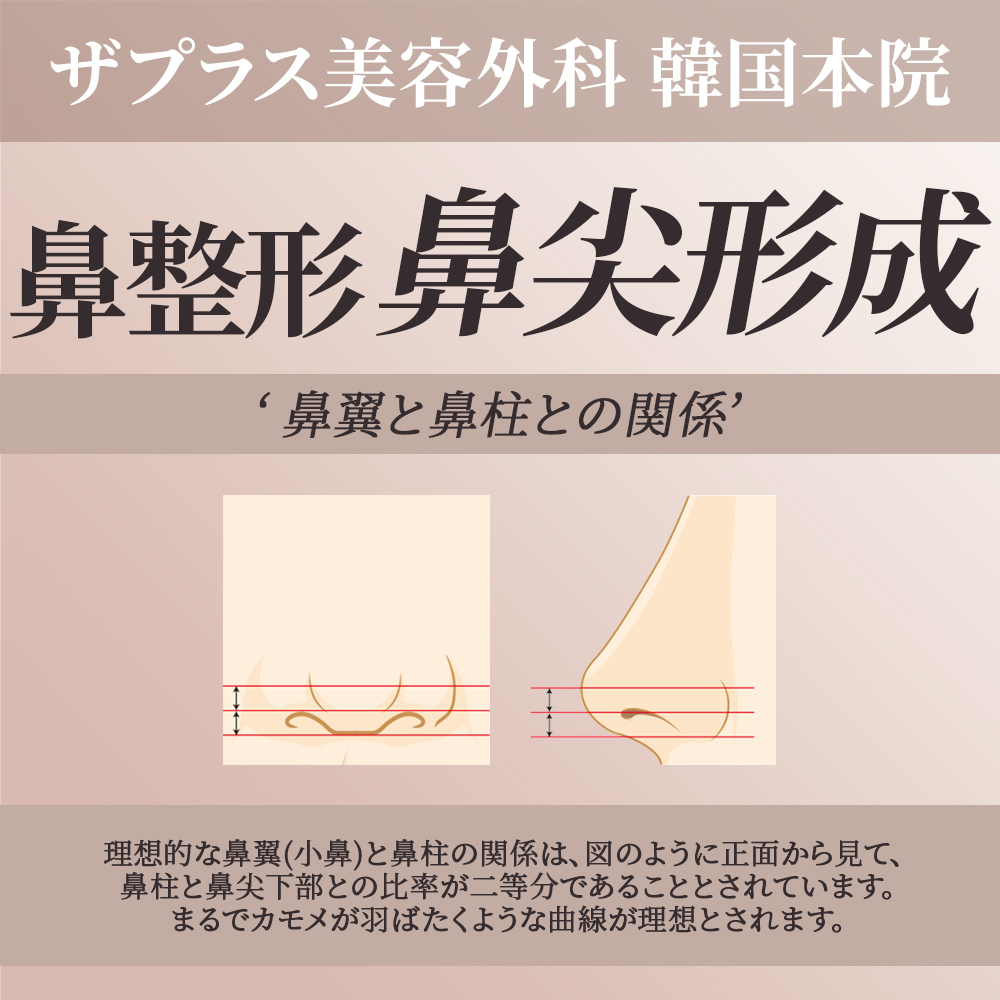 ザプラス美容外科 韓国本院 (@theplusjapan) / X