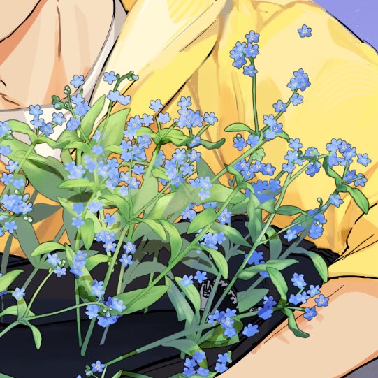 물망초 꽃 Forget-Me-Not flower (한정무료 limited free) by hojusan 
assets.clip-studio.com/ko-kr/detail?i… #clipstudio