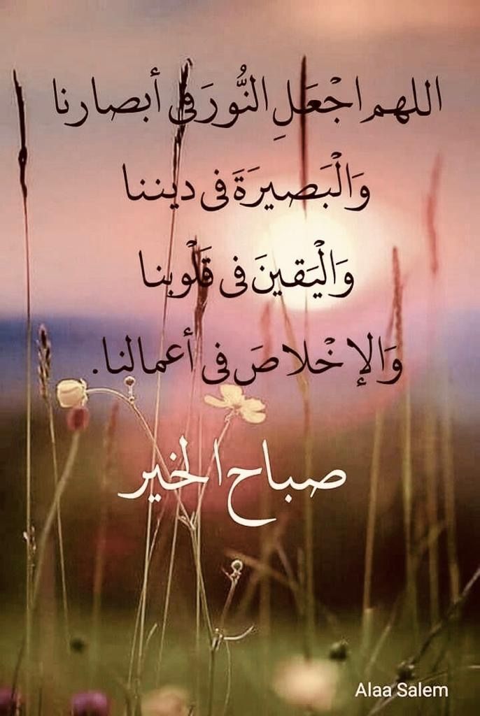 Alaa Hefny MOHAMED (@asd_hefny) on Twitter photo 