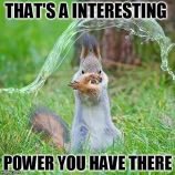 _Muffin_Man21's tweet photo. Holy shit the spaces I’m currently in and listening too is just proving how toxic CT really is

These “KOLS” are arguing back and forth between each other about how they share projects they find and how they find them but they all bundle them on side wallets blah blah blah

Bunch of bs

I’ll tell u what has the complete opposite vibe with 10x better people and community members than any of these bs tokens that these KOLs call

$DANK FUCKING MEMES

FUCK CT