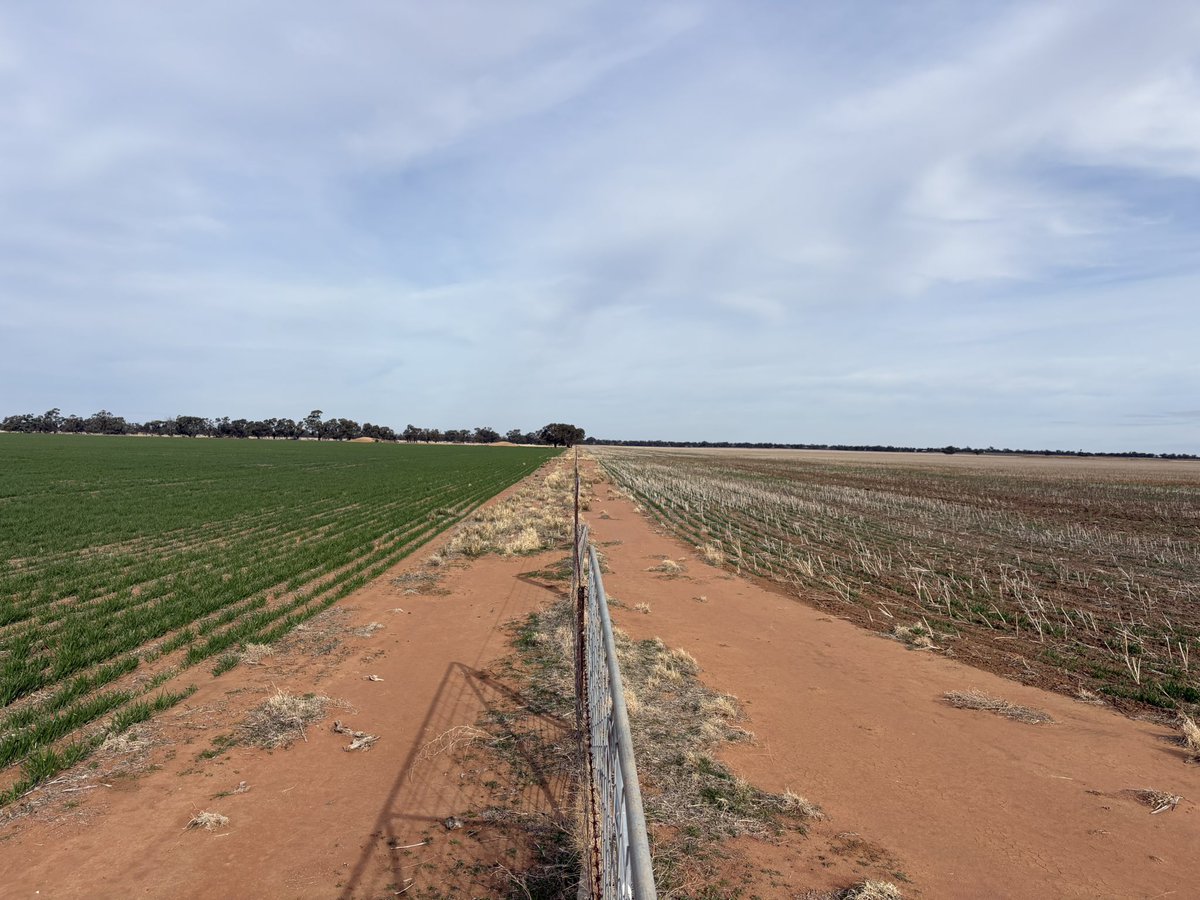 Matt Witney tweet media