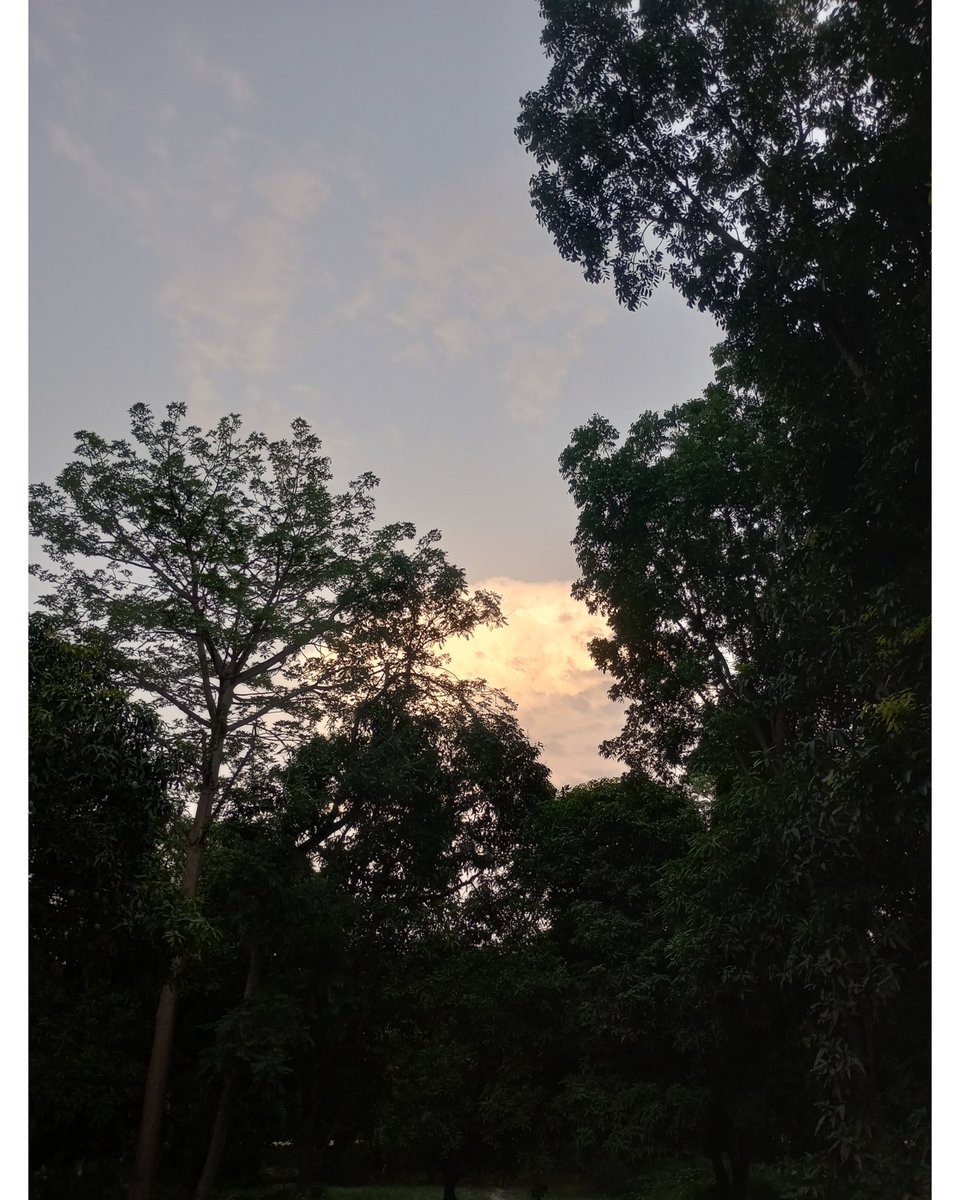 Siddh__dev's tweet photo. Somewhere in bihar
#photography #photooftheday #evening #clouds #naturephotography #cloudporn #tree_magic #cloudscape #skylovers #naturelover_grrs #earthfocus #landscape_lovers #naturesbeauty #treesofinstagram #cloudstagram #naturegram #outdoorphotography #planetearth https://t.co/A67iZDa7K4