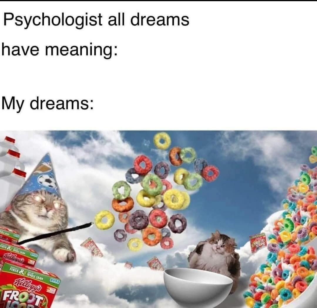 XaneDev's tweet image. 