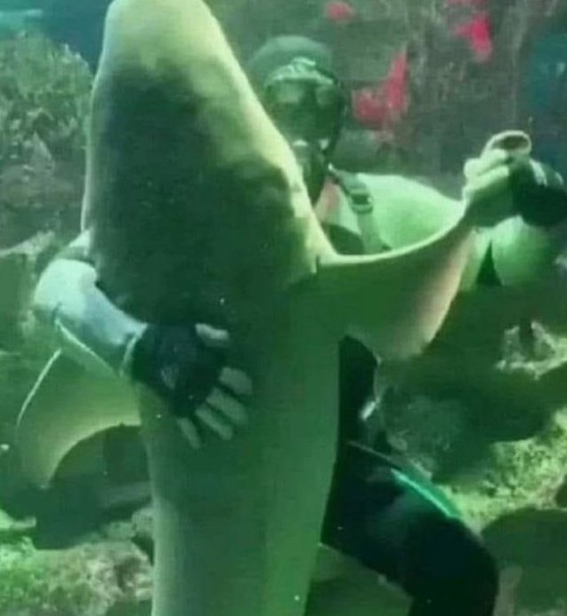 #อความเรียมฮีลใจ 

Parody🦝
"ระบำใต้น้ำ---- พี่เขาคงอารมณ์ดีแน่เลย ไม่ก็ซี้กันพอตัว---"