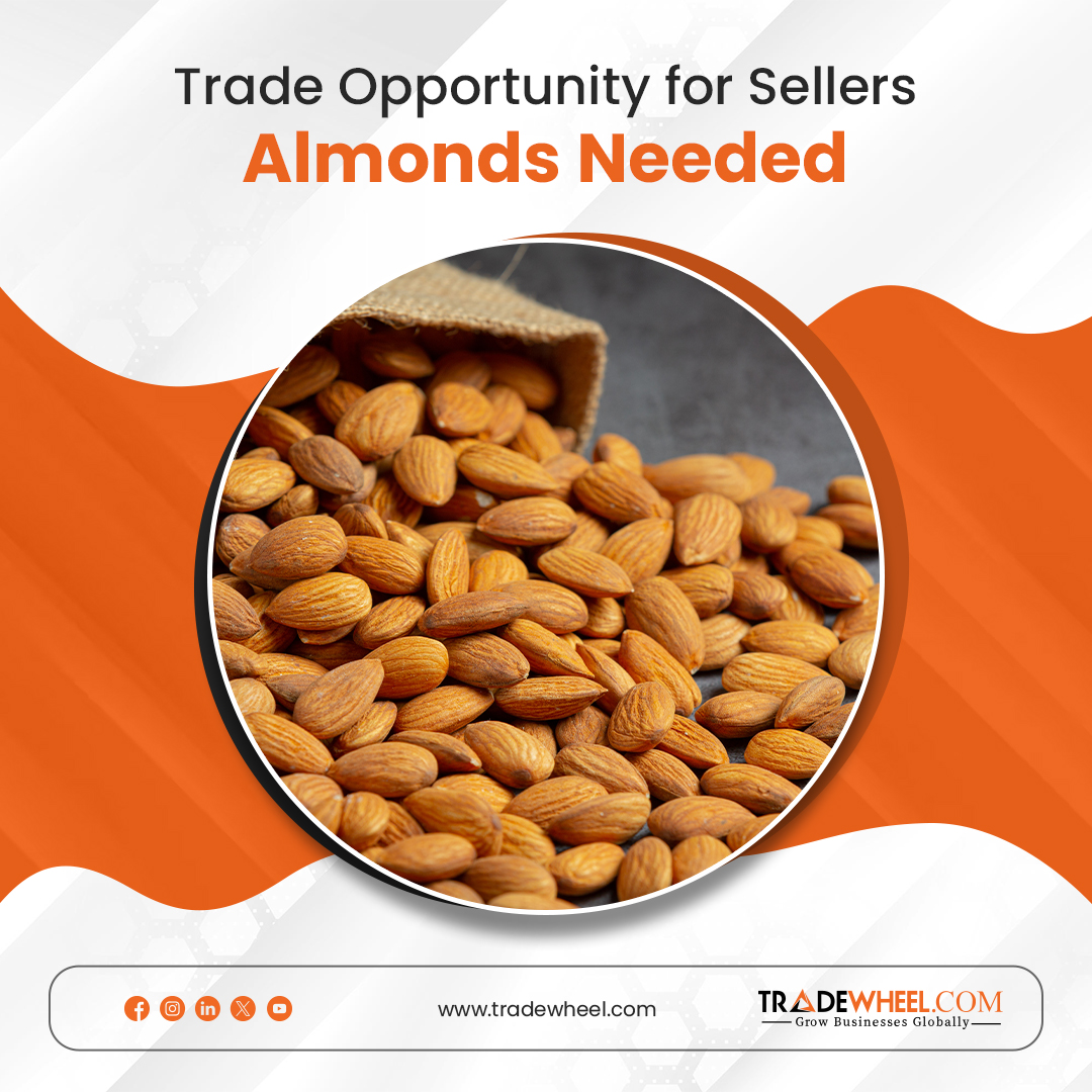 Looking to export Almonds globally? Join Tradewheel.com the leading B2B marketplace connecting Almonds suppliers with international buyers. Start scaling your Almonds export business today!

Buyers Link: tradewheel.com/buyers/almonds/

Register Free Today!