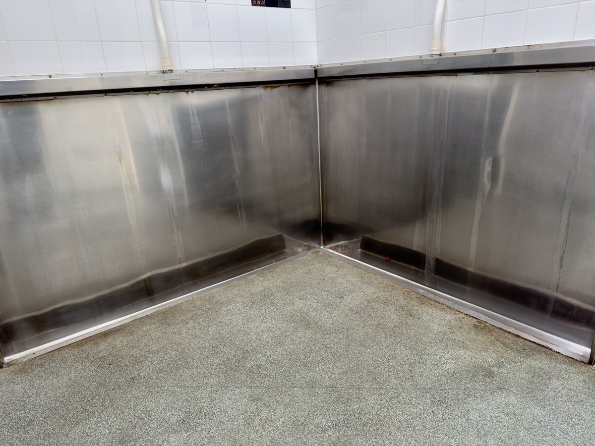 Dibs on the corner! 🐽