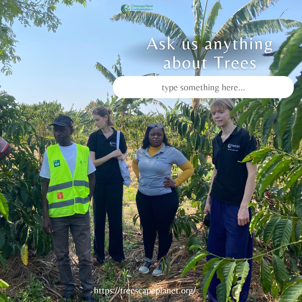 Got #tree questions?🌳
Want to know why trees "talk"? Which ones grow the fastest or why native species matter? Or how they fight climate change?

Ask us anything about trees. 
We’re here to branch out with answers.
#AskTreescape #ChangeLives #PlantTrees
