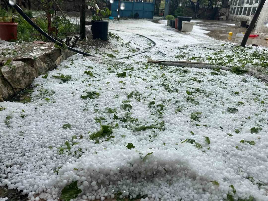 factsprime35's tweet photo. ❄️🌪️ HAil ALERT! 

Saraykent, Yozgat Province, Turkey 🇹🇷 hit by a heavy hailstorm! 

Nature's fury on full display! 

#TurkeyWeather #HailStorm #Yozgat https://t.co/HnLtiD3Q3k