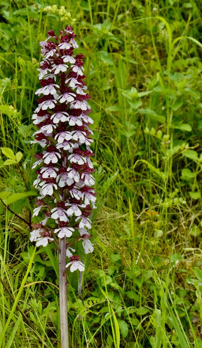 Guten Morgen ihr Lieben 🫶 
Habt eine entspannte Start in die neue Woche 🌸☕️☕️🤗👋🍀