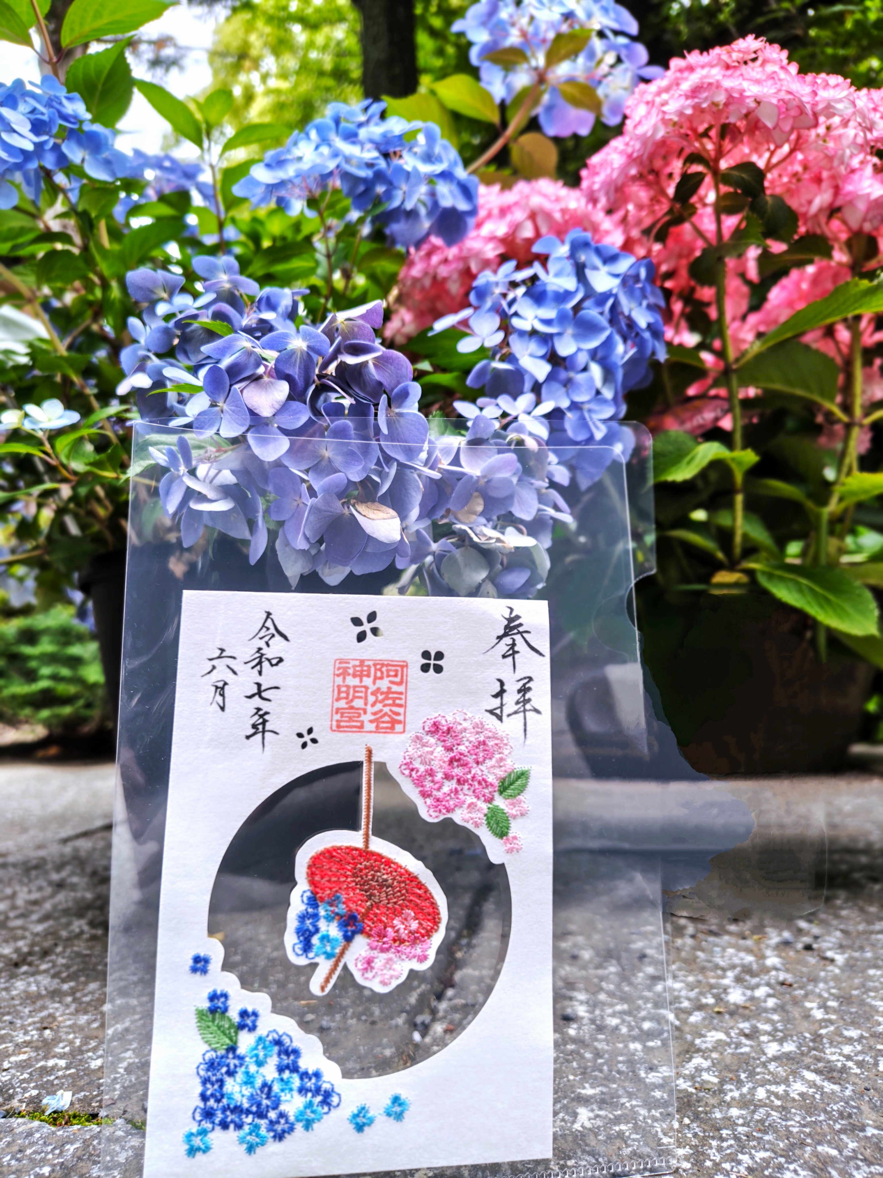 阿佐ヶ谷神明宮さま、令和7年桜4点フルセットラストワン