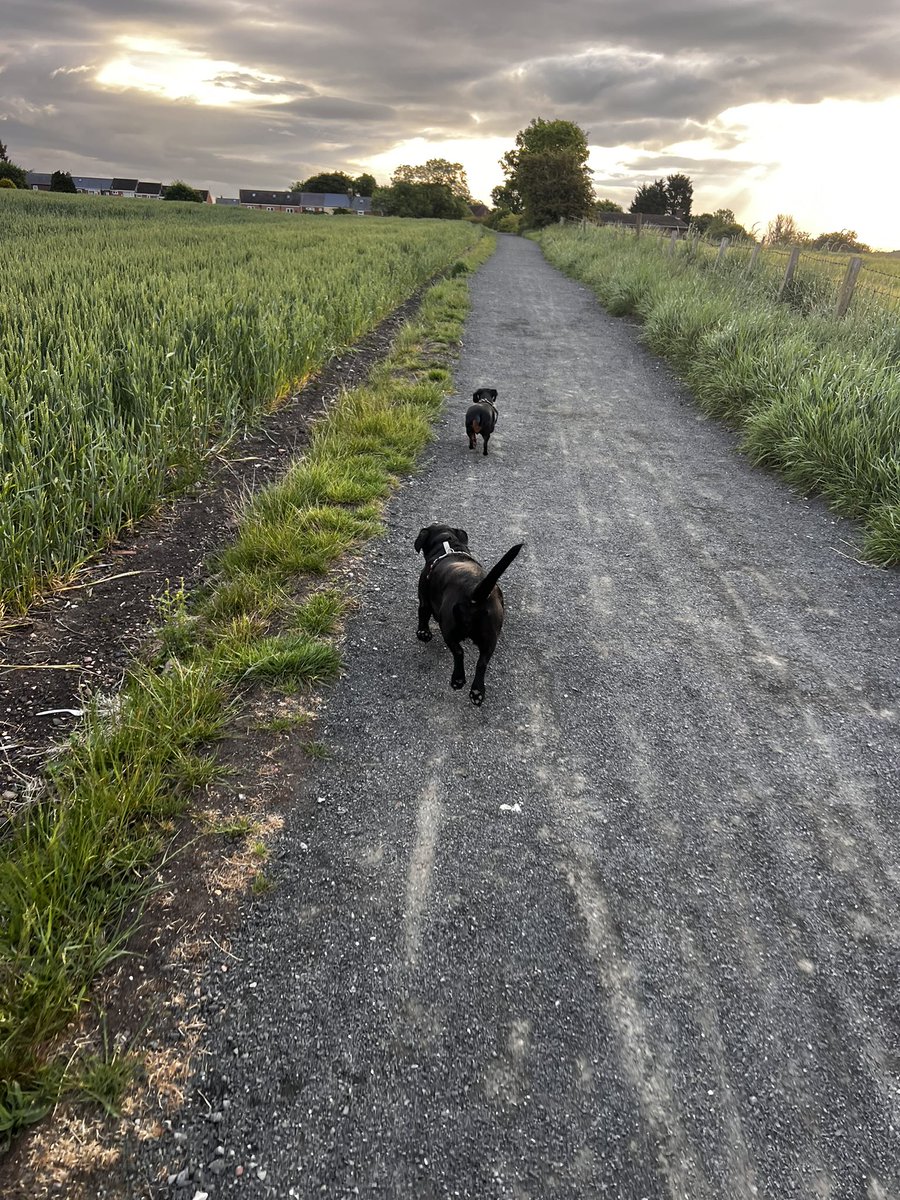 GBMC73's tweet image. 🤓 Lets Go Legends 🥰 Happy Monday and I’m sending loads of LUV ❤️

👉🏻 Journaling done ✅ Mission control all set for CRAFT Training &amp;amp; today is gonna be #Epic ⚡️🔥🤓 

🤓 Dogs 🐶 walked and gonna live todays Paul Mort #PowerMessage ….. 💥 

👉🏻 “Make today Fucking awesome” 🤓