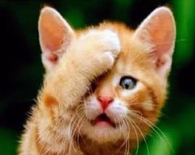 That feeling of waking up when the alarm goes off realising it's #monday again already!!!!!

Where did the #weekend go????? #mondaythoughts

💥Very slowly building some #MondayMotivaton