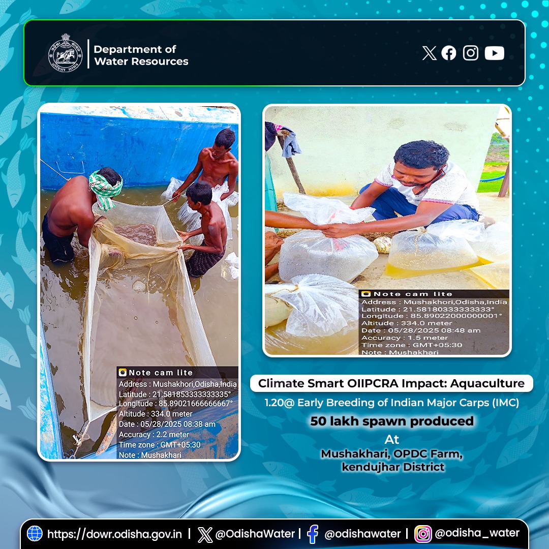 Deptt. of Water Resources (@odishawater) on Twitter photo 🐟 🌧️Climate Smart #OIIPCRA Impact:
1.20 @ Early Breeding of Indian Major Carps (IMC)
<a href="/CMO_Odisha/">CMO Odisha</a> <a href="/DC_Odisha/">Office of Development Commissioner, Odisha</a> <a href="/_anugarg/">Anu Garg</a> <a href="/IPR_Odisha/">I & PR Department, Odisha</a> <a href="/OIIPCRA_OCTDMS/">OIIPCRA</a> <a href="/OLICLTD/">Odisha Lift Irrigation Corporation Ltd.</a> <a href="/ltd_occ/">OCCLtd</a> <a href="/CE_Megalift/">Chief Engineer Megalift</a> <a href="/GWDOdisha/">Ground Water Department</a> <a href="/DfoKeonjhar/">Divisional Forest Officer, Keonjhar (T)</a> <a href="/OdishaFisheries/">Directorate of Fisheries, Odisha</a> <a href="/farddepartment/">Fisheries & ARD Department</a> 🐟 🌧️Climate Smart #OIIPCRA Impact:
1.20 @ Early Breeding of Indian Major Carps (IMC)
<a href="/CMO_Odisha/">CMO Odisha</a> <a href="/DC_Odisha/">Office of Development Commissioner, Odisha</a> <a href="/_anugarg/">Anu Garg</a> <a href="/IPR_Odisha/">I & PR Department, Odisha</a> <a href="/OIIPCRA_OCTDMS/">OIIPCRA</a> <a href="/OLICLTD/">Odisha Lift Irrigation Corporation Ltd.</a> <a href="/ltd_occ/">OCCLtd</a> <a href="/CE_Megalift/">Chief Engineer Megalift</a> <a href="/GWDOdisha/">Ground Water Department</a> <a href="/DfoKeonjhar/">Divisional Forest Officer, Keonjhar (T)</a> <a href="/OdishaFisheries/">Directorate of Fisheries, Odisha</a> <a href="/farddepartment/">Fisheries & ARD Department</a>