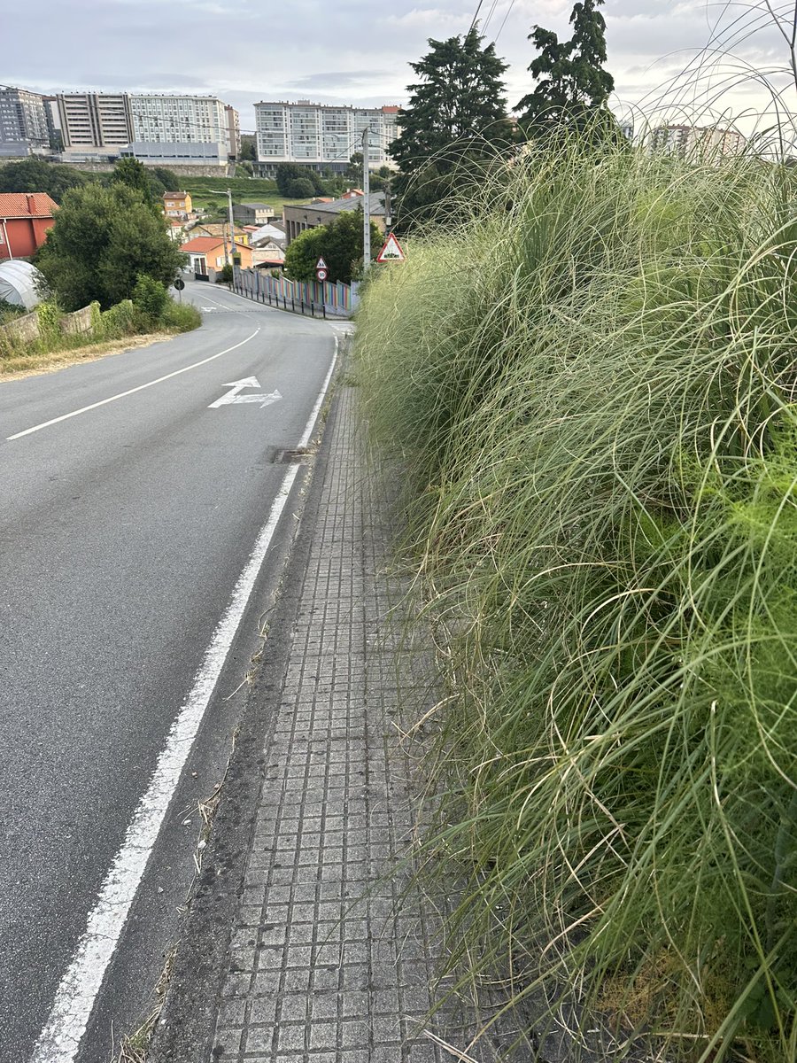 Joser_arias88's tweet photo. @ConcelloCoruna aun seguimos asi….una verguenza como teneis de abandonado al pueblo de feans https://t.co/2EPicqWJSN