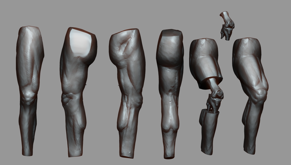 AD890D's tweet image. Leg Anatomy Study and Practice #anatomy #zbrushsculpt #zbrush #3dsculpt #roblox #robloxdev #rblxdev