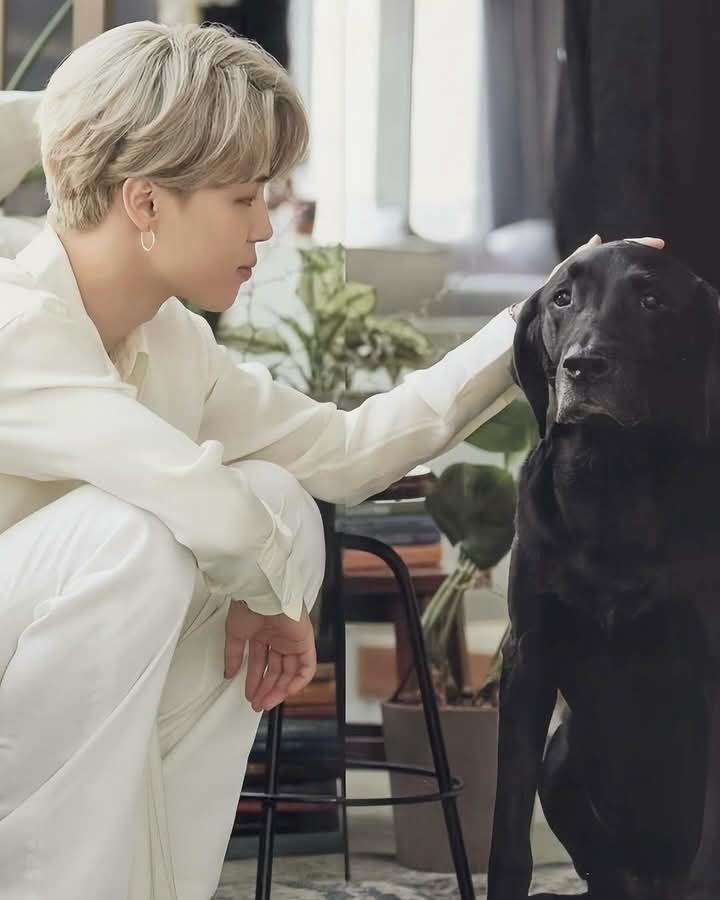 jm7Jimin's tweet photo. 당신은 개를 키우고 있나요? https://t.co/GREGWH1Cu1