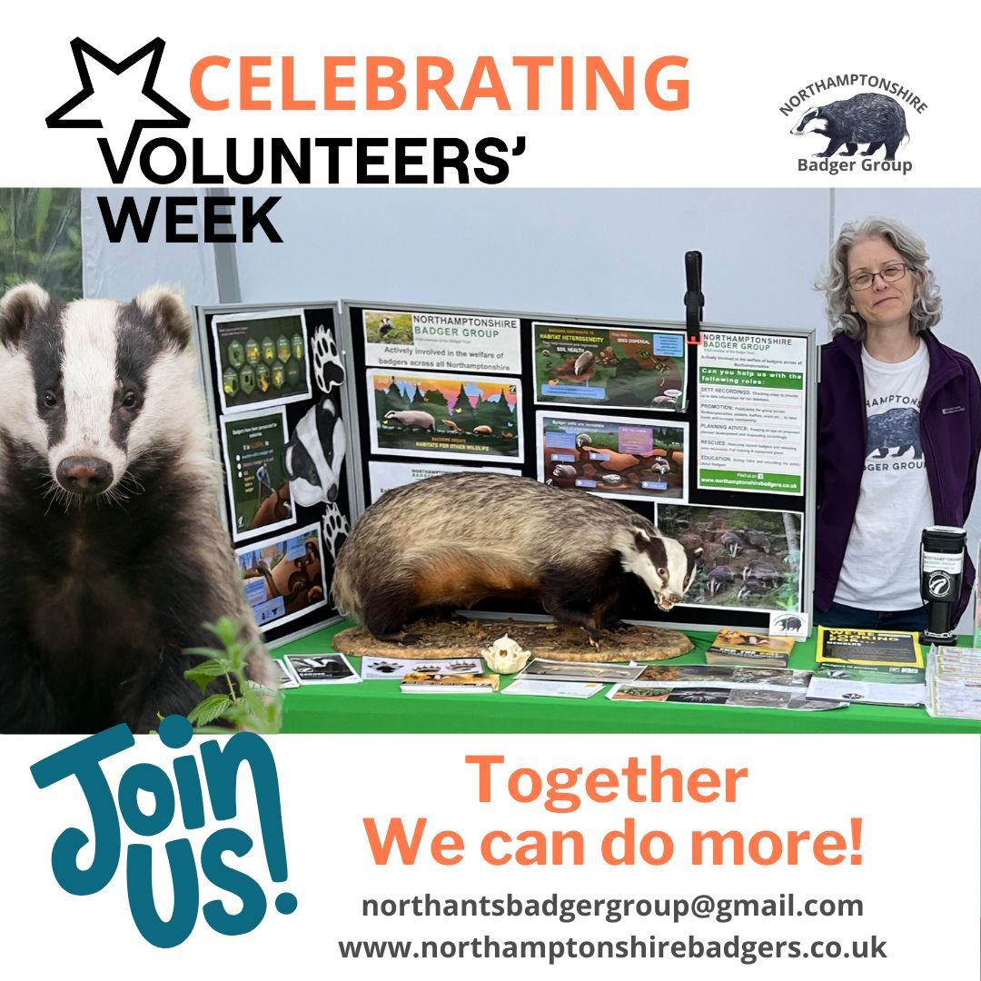 NorthamptonshireBadgers tweet media