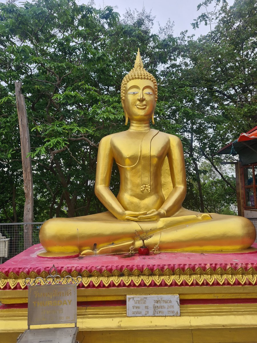 Ms McIntosh 👩🏽🎓⚛🧬🦠🔬 tweet media