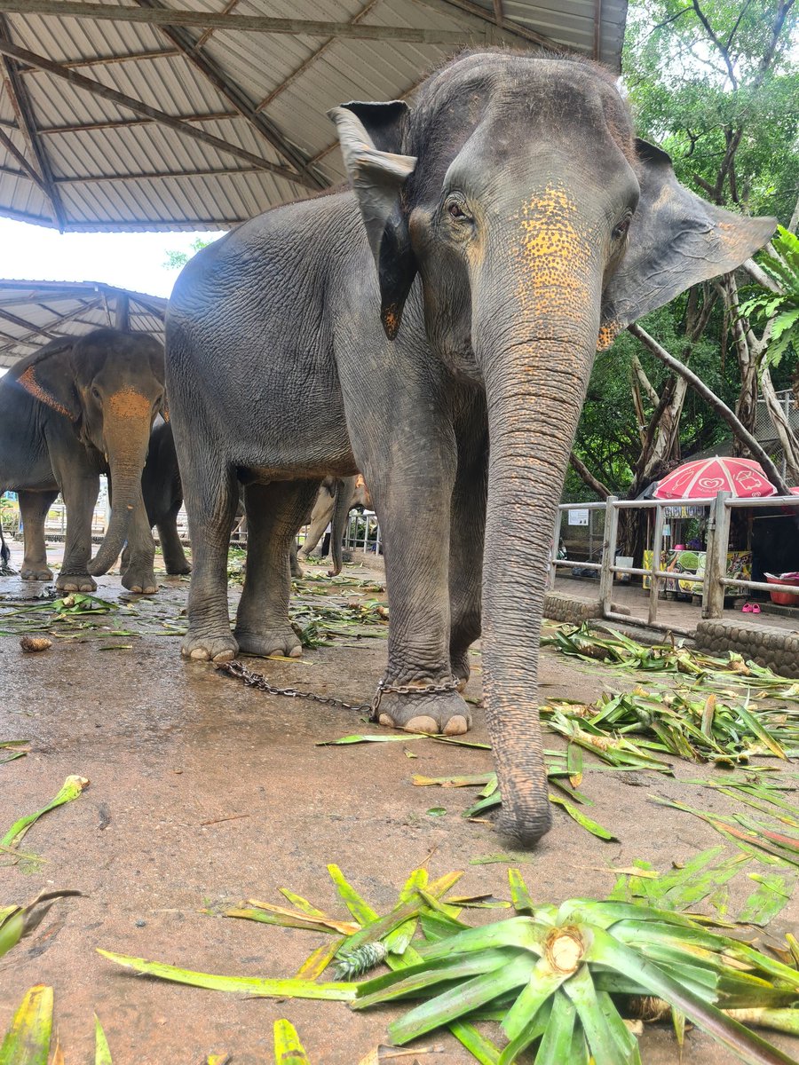 Ms McIntosh 👩🏽🎓⚛🧬🦠🔬 tweet media