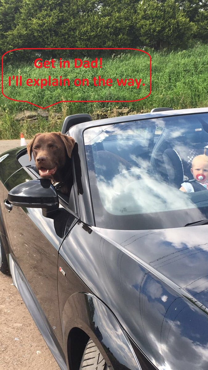 David John Builders (@davidjohnbuild) on Twitter photo 