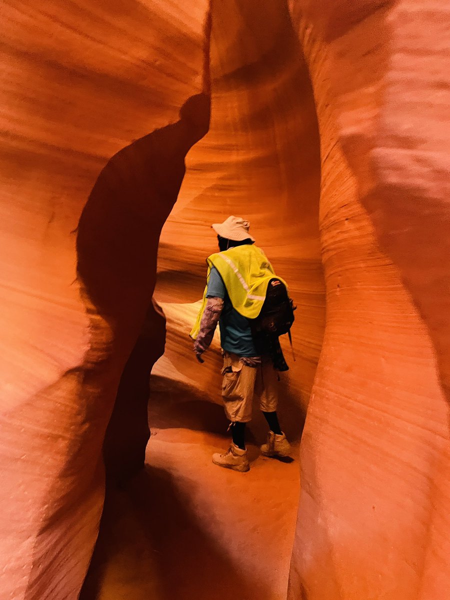 jjmmli's tweet image. Good morning! ☀️ ☕️🫖😀👋🏻
Let’s see your warm weather captures.☀️🌵🏜️

#WarmWeather