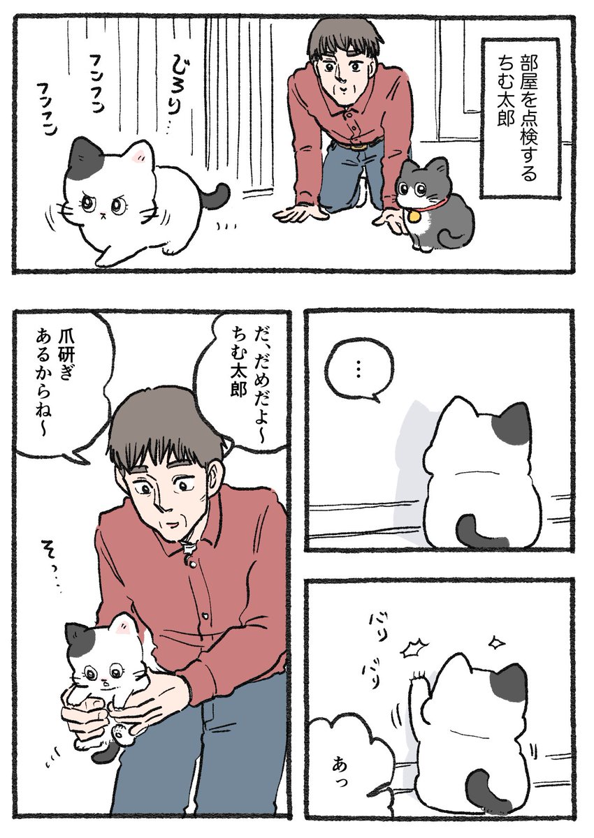 ねこおじ様 GsauD-RbwAAVZrz.jpg?format=jpg
