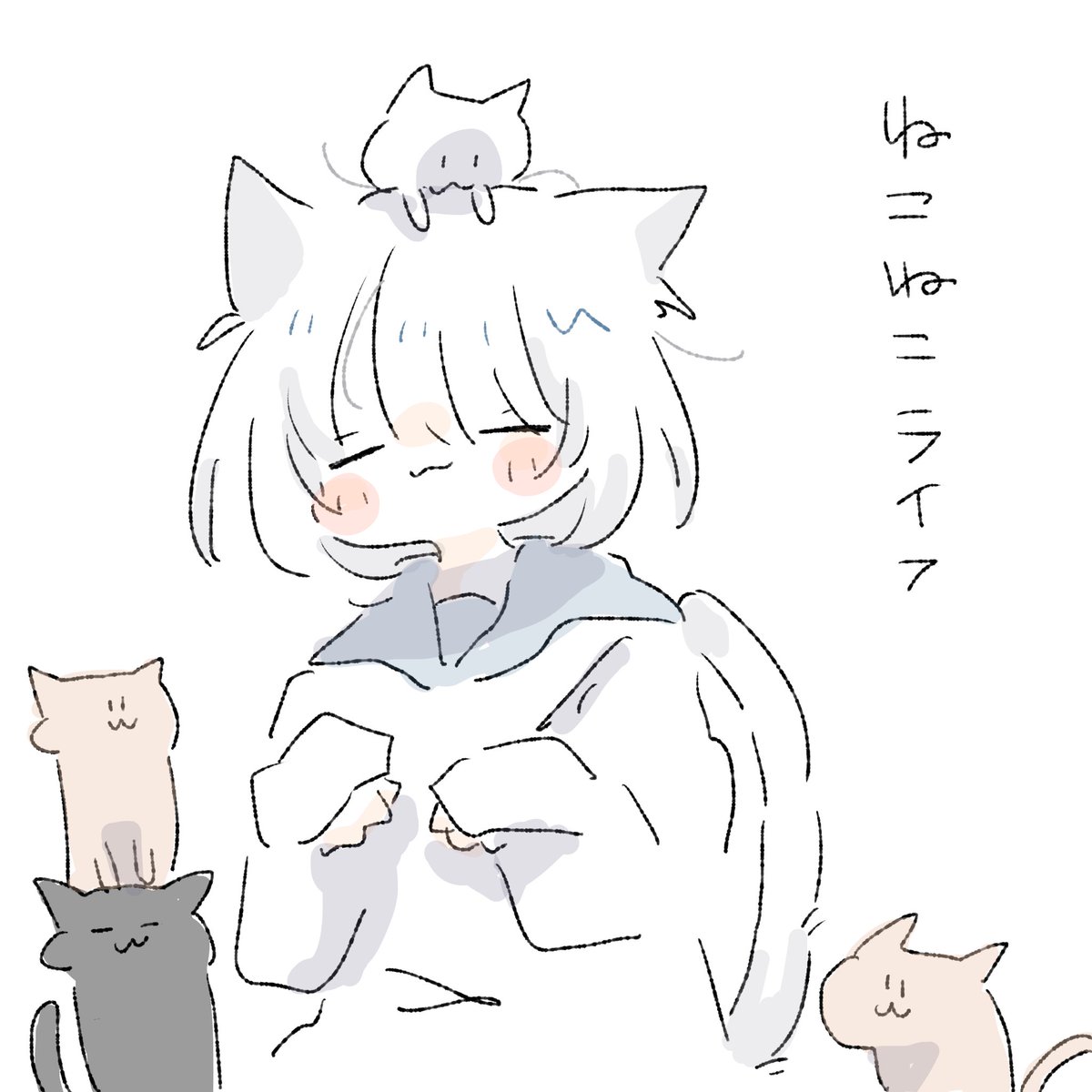 🐱 