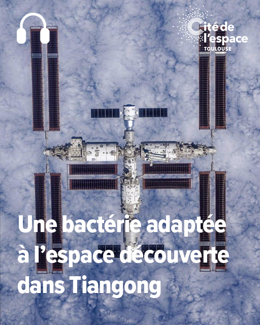 Cité de l'espace (@citeespace) on Twitter photo 🎧PODCAST - On a trouvé une bactérie inconnue dans la Station spatiale chinoise Tiangong. Une découverte qui nous permet de comprendre comment le vivant s'adapte aux conditions extrêmes.
🎙️On en parlait samedi sur <a href="/icioccitanie/">ici Occitanie</a>
➡️À réécouter ici👇
cite-espace.com/actualites-spa… 🎧PODCAST - On a trouvé une bactérie inconnue dans la Station spatiale chinoise Tiangong. Une découverte qui nous permet de comprendre comment le vivant s'adapte aux conditions extrêmes.
🎙️On en parlait samedi sur <a href="/icioccitanie/">ici Occitanie</a>
➡️À réécouter ici👇
cite-espace.com/actualites-spa…