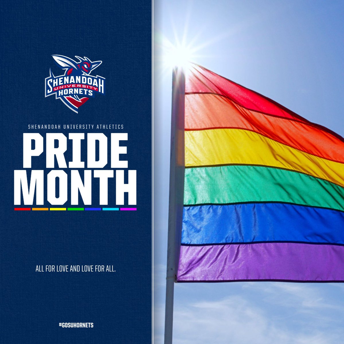 Proud to celebrate Pride all year long! 🏳️‍🌈❤️

#GoSUHornets