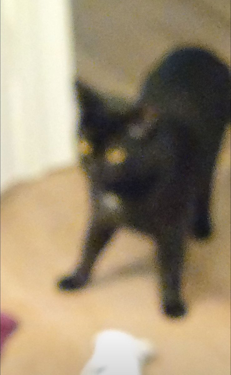 angie ♡ tweet media