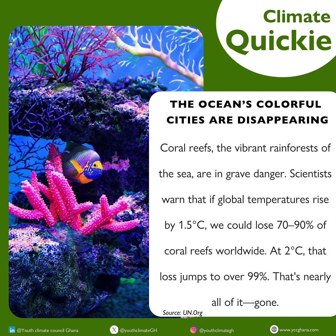 Climate Quickie Monday!🤩

Coral reefs support 1 in 4 marine species &amp; protect our coasts 🌊
But at 1.5°C warming, we could lose 90% of them.
At 2°C? Over 99%—gone.
Half a degree makes all the difference.
Act now. 🌍🔥

 #SaveTheReefs  #ClimateCrisis #ActOnClimate