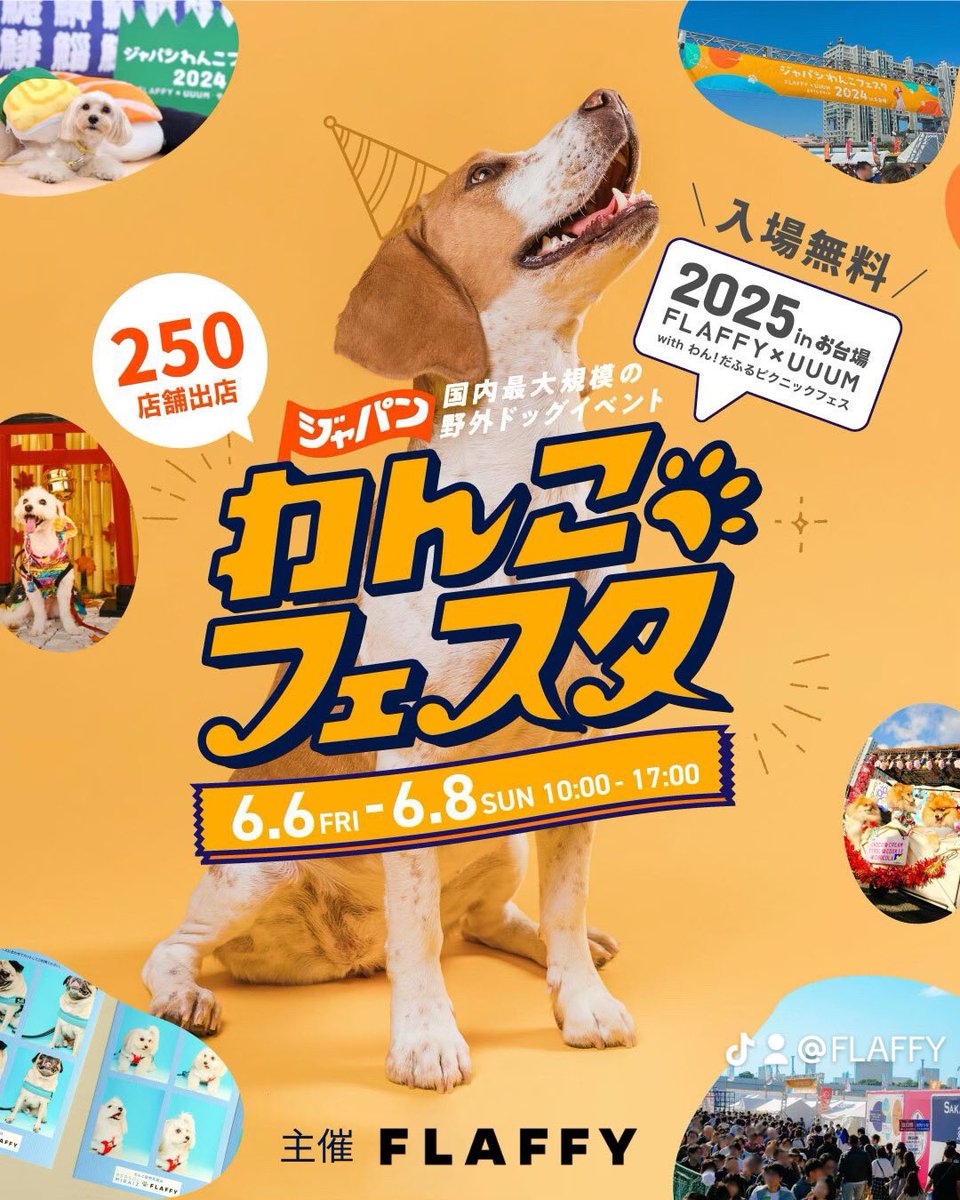 今週はお台場へ！
日本最大級らしいからなかなか楽しみ🐾

#わんこフェスタ
