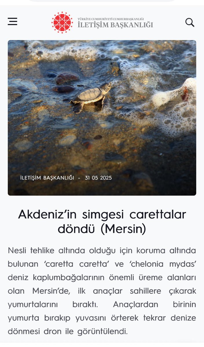 Yazınızı okudum evet döndüler ama yumurtlama alanına düğün salonu yapıyorlar.. bilginiz dahilinde mi? <a href="/iletisim/">T.C. İletişim Başkanlığı</a>