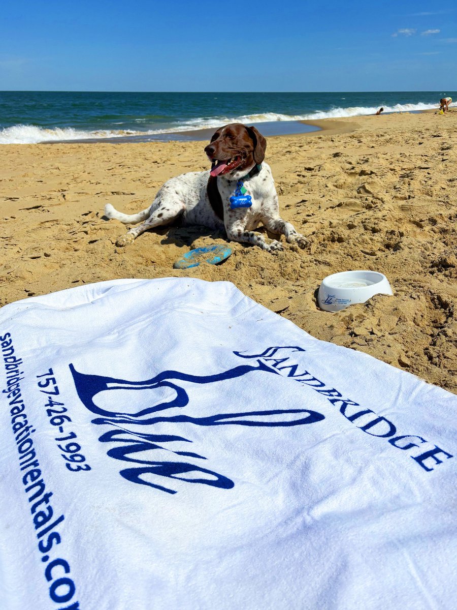 🐾 Sand, surf, and tails wagging. That’s the kind of vacation we’re all about at Sandbridge Blue! 🐕 Stay at one of our pet-friendly properties 🔗 bit.ly/42xrCTC
#sandbridge #virginiabeach #sandbridgeva