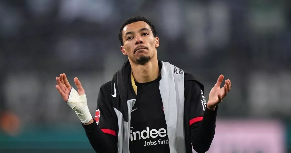 𝗔𝗡𝗙𝗜𝗘𝗟𝗗 𝗙𝗢𝗥𝗚𝗘 ⚡︎ tweet media