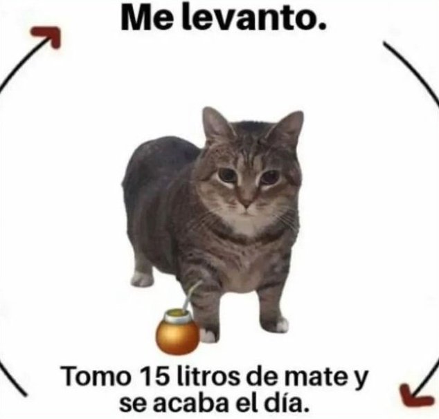 UlisesDavid__'s tweet photo. https://t.co/Ajo72MNrRt