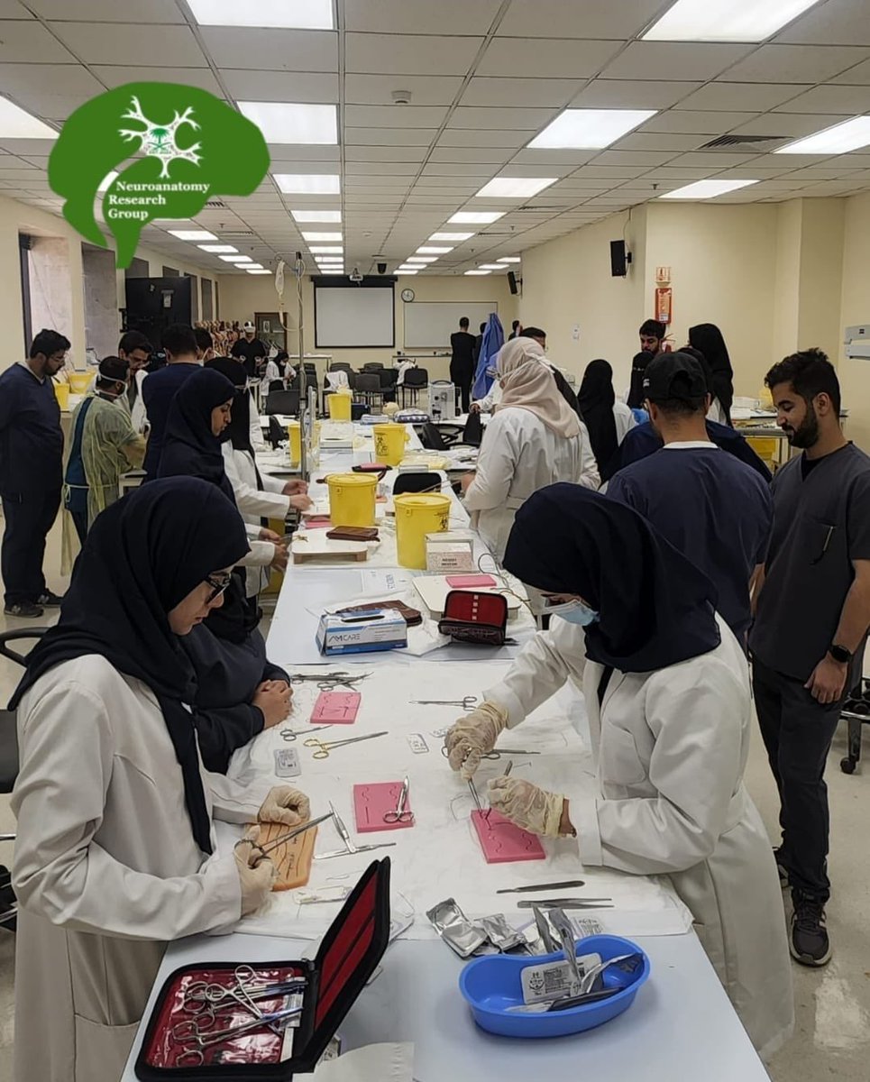 Neuroanatomy Research group tweet media