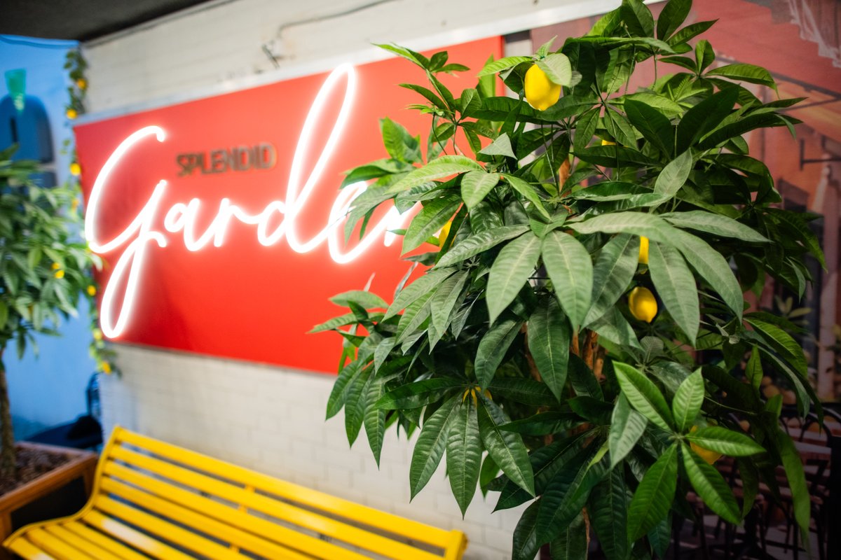 Tiekamies Itālijas brīvdabas kino seansos! 🇮🇹📽️🍹

Tuvākie seansi:
🍋 5. jūnijā plkst. 22.30 
🍋 12. jūnijā plkst. 22.30 
🍋 19. jūnijā plkst. 22.30

🎟️ Biļetes meklē splendidpalace.lv