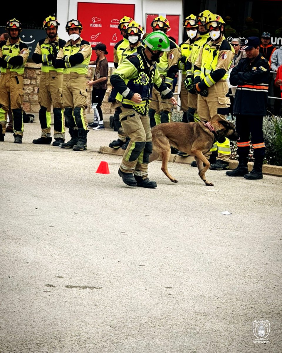 bomberosgu's tweet image. 🐕#PREVENCIÓN 🚨

Se simuló accidente aéreo, fuga de gas e incendio forestal, interviniendo más de 150 efectivos de los diferentes grupos de acción, provocando la activación del Plan Territorial de Emergencias de Castilla-la Mancha #PLATECAM ⚠

#BomberosGU #SeguridadGU #Bomberos