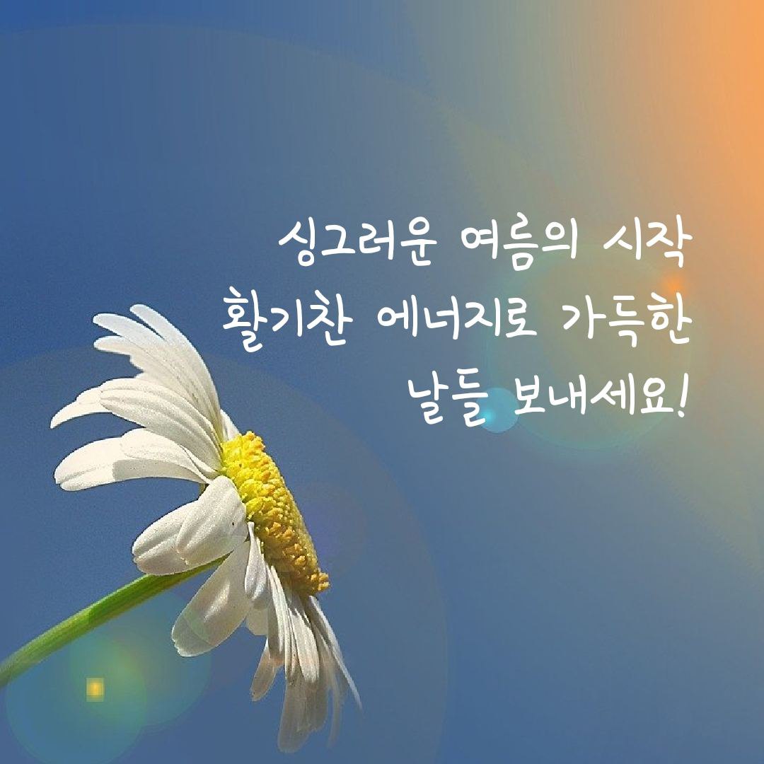 #6월 #에너지 #여름 #서울