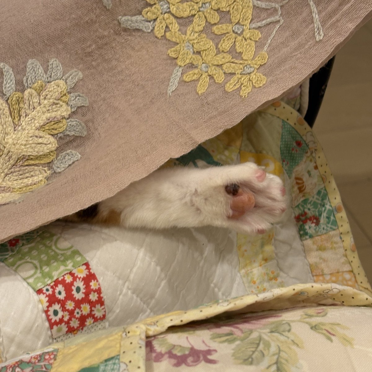 みかりん (@mikarin34727) / Posts / X