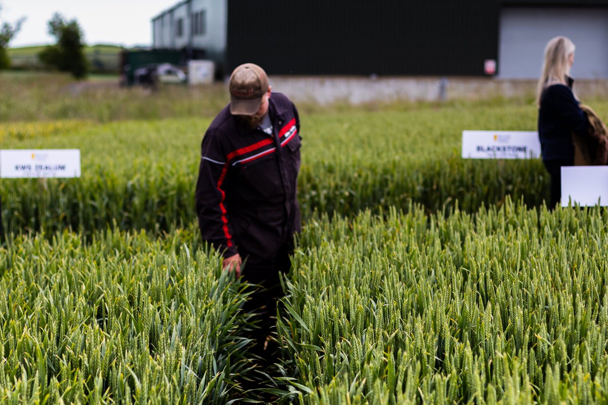 McCreath Simpson & Prentice tweet media