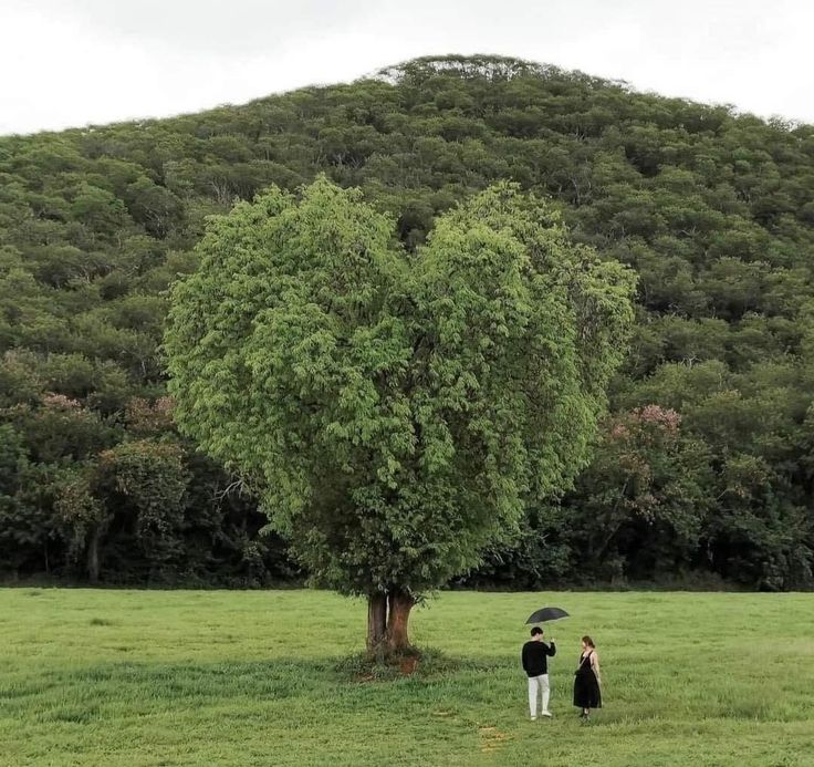 𝕰𝖑𝖊𝖒𝖒𝖎𝖗𝖊 (@elemmiressoul) on Twitter photo 