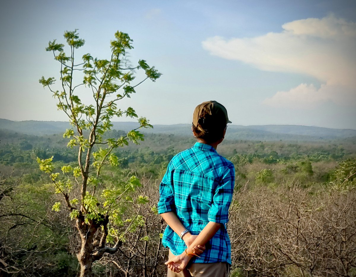 Janvinagani02's tweet photo. Emptiness : the state of containing nothing.
#GirForest https://t.co/QcrACsFtiO