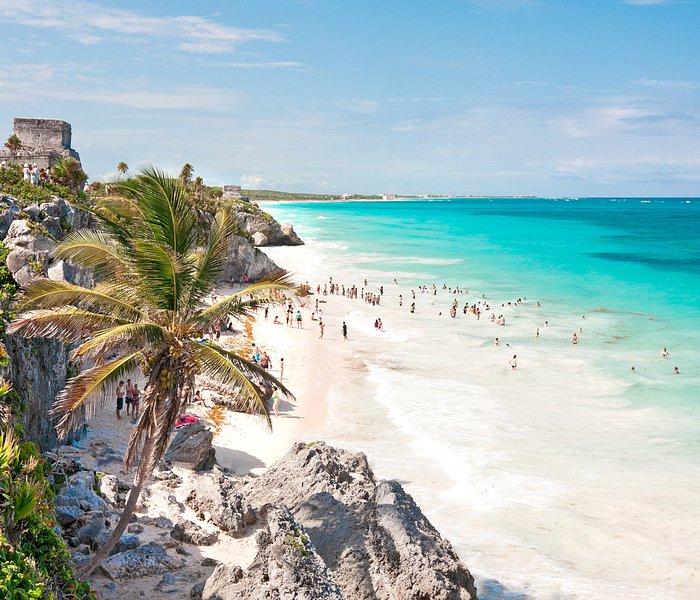 Good morning 😀, Twitterverse. I had my coffee as I watched the sunrise. With some luck I'll have a glass of wine with the sun setting. Have a beachy day. Progresso is the closest beach to my house in Mexico. I wish I was there today.