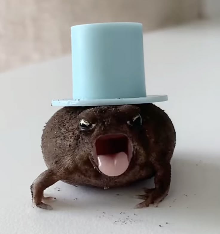 It is both a GM and a Morning to be good on!