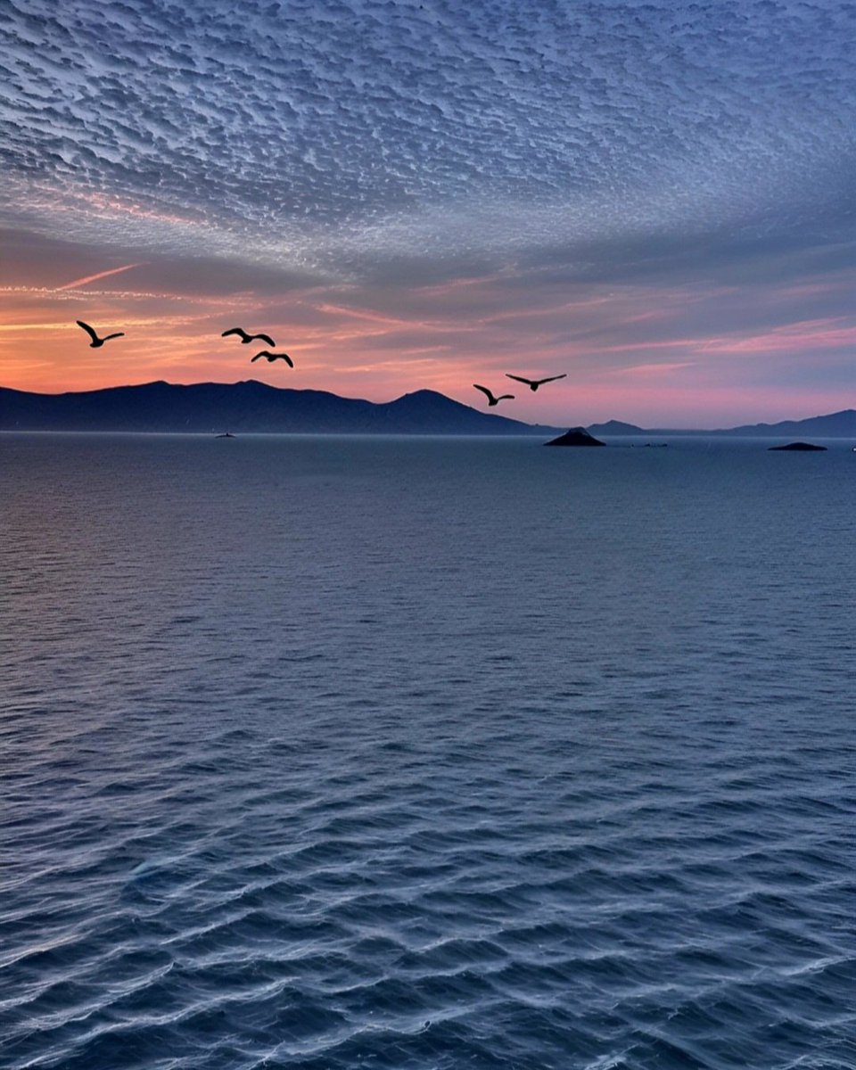 leellrc's tweet image. Once you have tasted flight, you will forever walk the earth with your eyes turned skyward, for there you have been, and there you will always long to return.

leoni