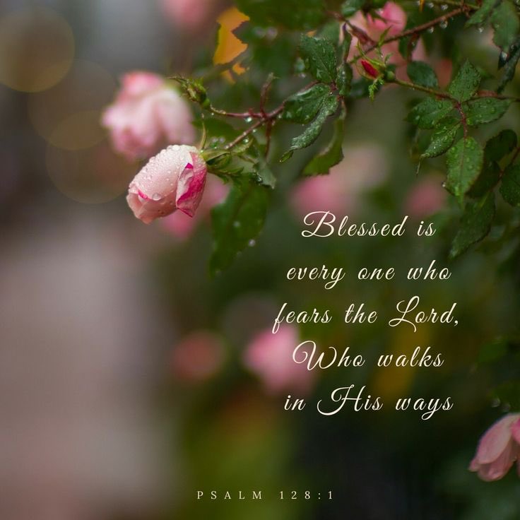 aimeespurpose's tweet photo. 6/2/25 Monday’s Responsorial Psalm
Psalm 68:2-3ab, 4-5acd, 6-7ab
R. (33a) Sing to God, O kingdoms of the earth.
or:
R. Alleluia.
God arises; his enemies are scattered,
and those who hate him flee before him.
As smoke is driven away, so are they driven;
as wax melts before the fire.
R. Sing to God, O kingdoms of the earth.
or:
R. Alleluia.
But the just rejoice and exult before God;
they are glad and rejoice.
Sing to God, chant praise to his name;
whose name is the LORD.
R. Sing to God, O kingdoms of the earth.
or:
R. Alleluia.
The father of orphans and the defender of widows
is God in his holy dwelling.
God gives a home to the forsaken;
he leads forth prisoners to prosperity.
R. Sing to God, O kingdoms of the earth.
or:
R. Alleluia.

Alleluia
Colossians 3:1
R. Alleluia, alleluia.
If then you were raised with Christ,
seek what is above,
where Christ is seated at the right hand of God.
R. Alleluia, alleluia.